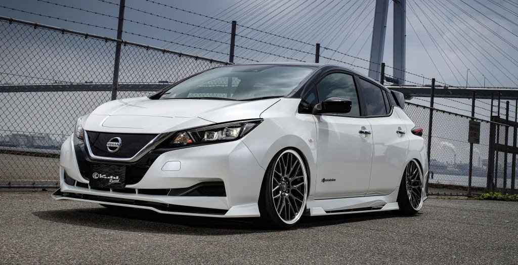 LEAF_EM57-GT-2