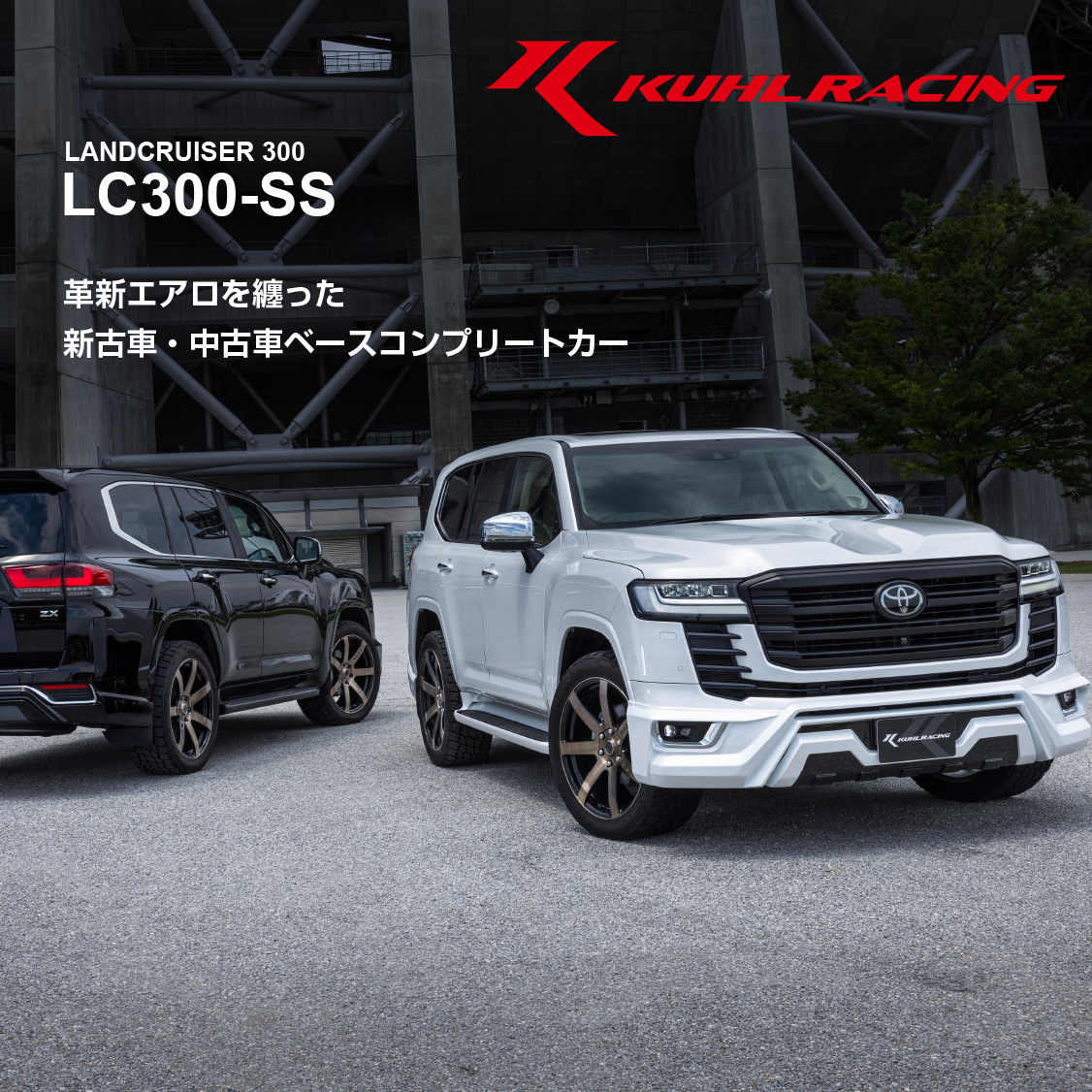 LC300-SS